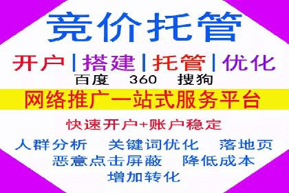 竞价推广策略：某电商平台的成功案例